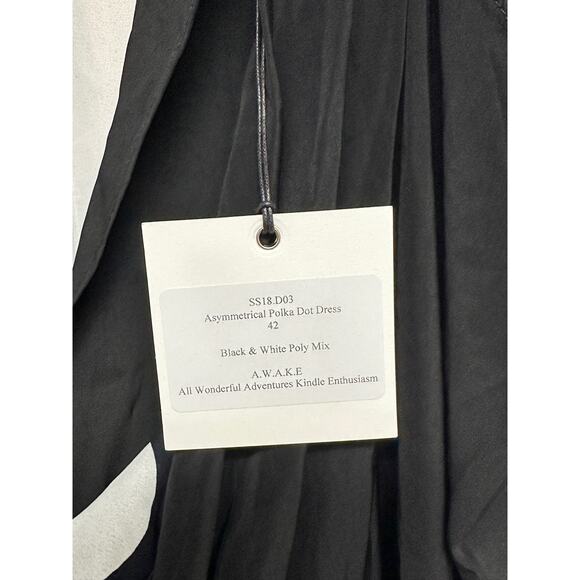 Awake A.W.A.K.E. V-Neck Draped One-Sleeve Asymmetric Polka-Dot Dress - Picture 7 of 15